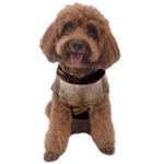 Path Trees Forest Fantasy Dog Sweater