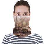 Path Trees Forest Fantasy Face Seamless Bandana (Adult)