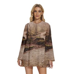 Round Neck Long Sleeve Bohemian Style Chiffon Mini Dress 