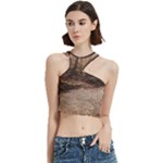 Path Trees Forest Fantasy Cut Out Top