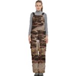 Path Trees Forest Fantasy Women s Side Zip Front Pouch Ski And Snowboard Bib Pants	