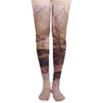 Path Trees Forest Fantasy Thigh High Stockings