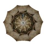 Path Trees Forest Fantasy Automatic Folding Umbrella with Case (Large)