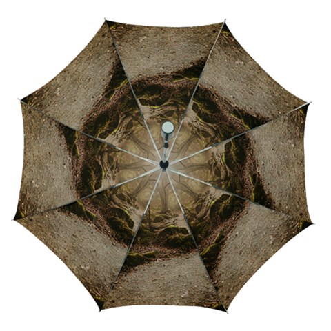 Path Trees Forest Fantasy Automatic Folding Umbrella with Case (Medium) from ArtsNow.com