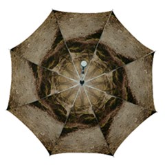 Path Trees Forest Fantasy Automatic Folding Umbrella with Case (Medium) from ArtsNow.com