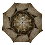 Path Trees Forest Fantasy Automatic Folding Umbrella with Case (Medium)