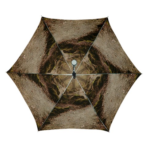 Path Trees Forest Fantasy Automatic Folding Umbrella with Case (Small) from ArtsNow.com