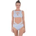 Bluey, Bluey merch, Bluey pattern, Bluey Bluey, bingo, Bluey design, bluey dog Bandaged Up Bikini Set Bluey, Bluey merch, Bluey pattern, Bluey Bluey, bingo, Bluey design, bluey dog Bandaged Up Bikini Set