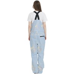 Women s Front Zip Ski And Snowboard Bib Pants 
