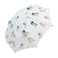 Folding Umbrella 