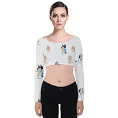 Velvet Long Sleeve Crop Top 
