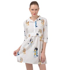 Mini Skater Shirt Dress 