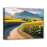 Sunflowers Flowers Nature Canvas 16  x 12  (Stretched)