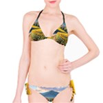 Sunflowers Flowers Nature Classic Bikini Set