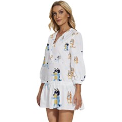 V-Neck Placket Mini Dress 