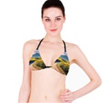 Sunflowers Flowers Nature Classic Bikini Top