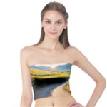 Sunflowers Flowers Nature Tube Top