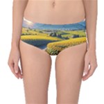 Sunflowers Flowers Nature Mid-Waist Bikini Bottoms