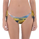 Sunflowers Flowers Nature Reversible Bikini Bottoms