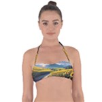 Sunflowers Flowers Nature Tie Back Bikini Top
