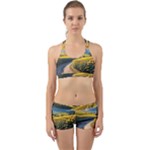Sunflowers Flowers Nature Back Web Gym Set