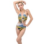 Sunflowers Flowers Nature Plunging Cut Out Swimsuit