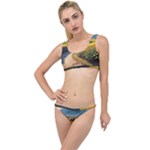 Sunflowers Flowers Nature The Little Details Bikini Set