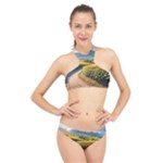 Sunflowers Flowers Nature High Neck Bikini Set
