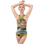 Sunflowers Flowers Nature Cross Front Low Back Swimsuit