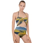 Sunflowers Flowers Nature Scallop Top Cut Out Swimsuit