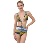 Sunflowers Flowers Nature Tied Up Two Piece Swimsuit