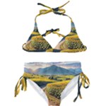 Sunflowers Flowers Nature Kids  Classic Bikini Set