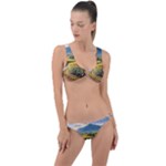 Sunflowers Flowers Nature Ring Detail Crop Bikini Set