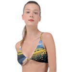 Sunflowers Flowers Nature Knot Up Bikini Top
