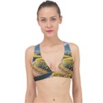 Sunflowers Flowers Nature Classic Banded Bikini Top
