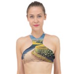 Sunflowers Flowers Nature High Neck Bikini Top
