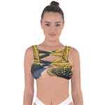 Sunflowers Flowers Nature Bandaged Up Bikini Top