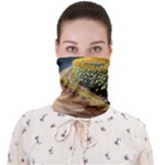 Sunflowers Flowers Nature Face Covering Bandana (Adult)