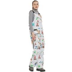 Women s Side Zip Front Pouch Ski And Snowboard Bib Pants	 