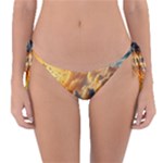 Nature Storm Painting Reversible Bikini Bottoms
