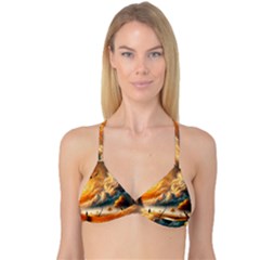 Reversible Tri Bikini Top 