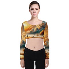 Velvet Long Sleeve Crop Top 