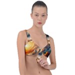 Nature Storm Painting Front Tie Bikini Top