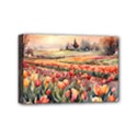 Mini Canvas 6  x 4  (Stretched) 