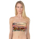Tulips Field Tree Bandeau Top