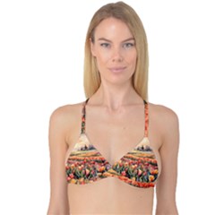 Reversible Tri Bikini Top 