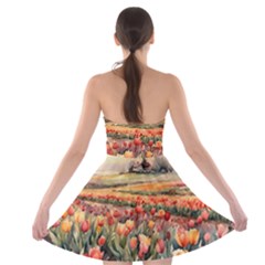 Strapless Bra Top Dress 