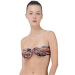 Tulips Field Tree Classic Bandeau Bikini Top 