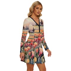 Long Sleeve Deep V Mini Dress  
