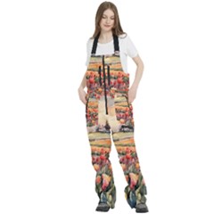 Women s Front Zip Ski And Snowboard Bib Pants 
